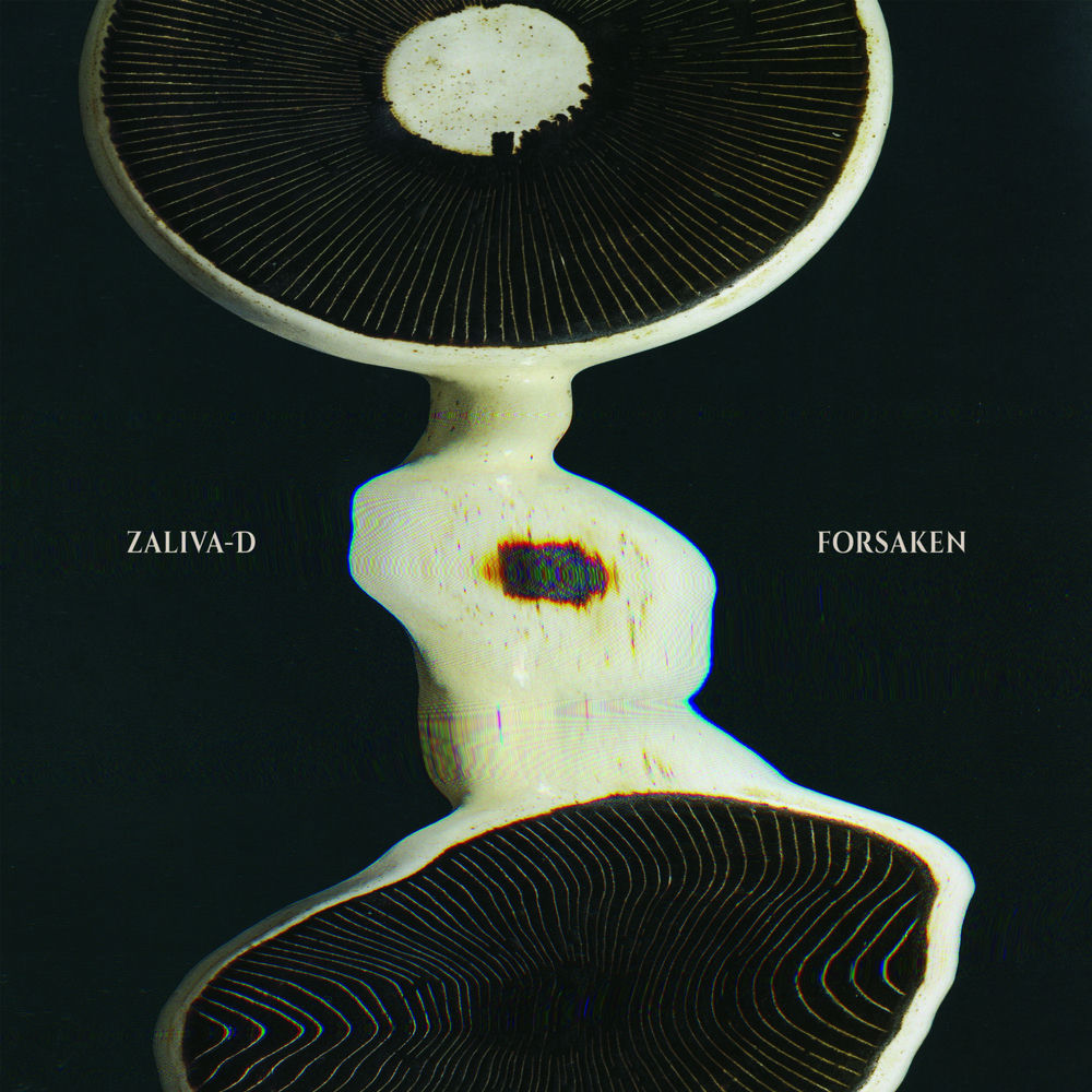 Zaliva-D