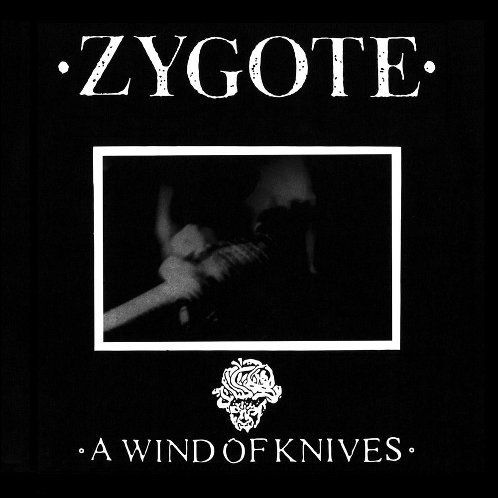 Zygote