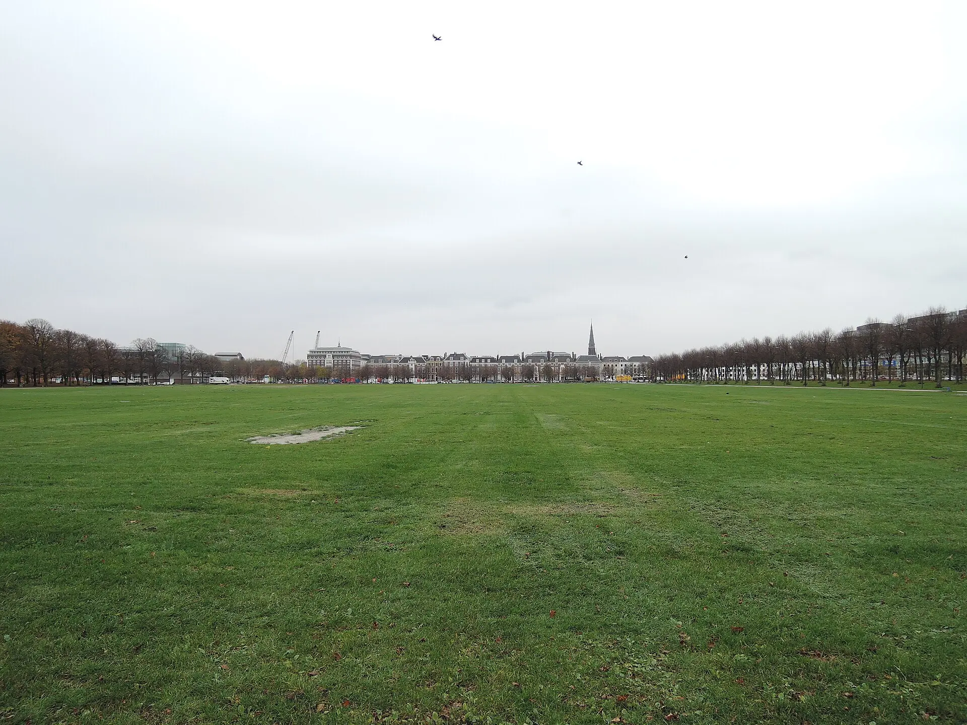Malieveld